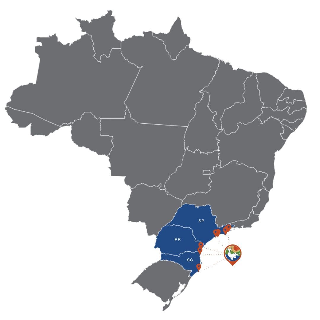 Mapa do Brasil em cinza, com os estados de São Paulo, Paraná e Santa Catarina em azul, evidenciando as áreas de atuação do Projeto Toninhas do Brasil.