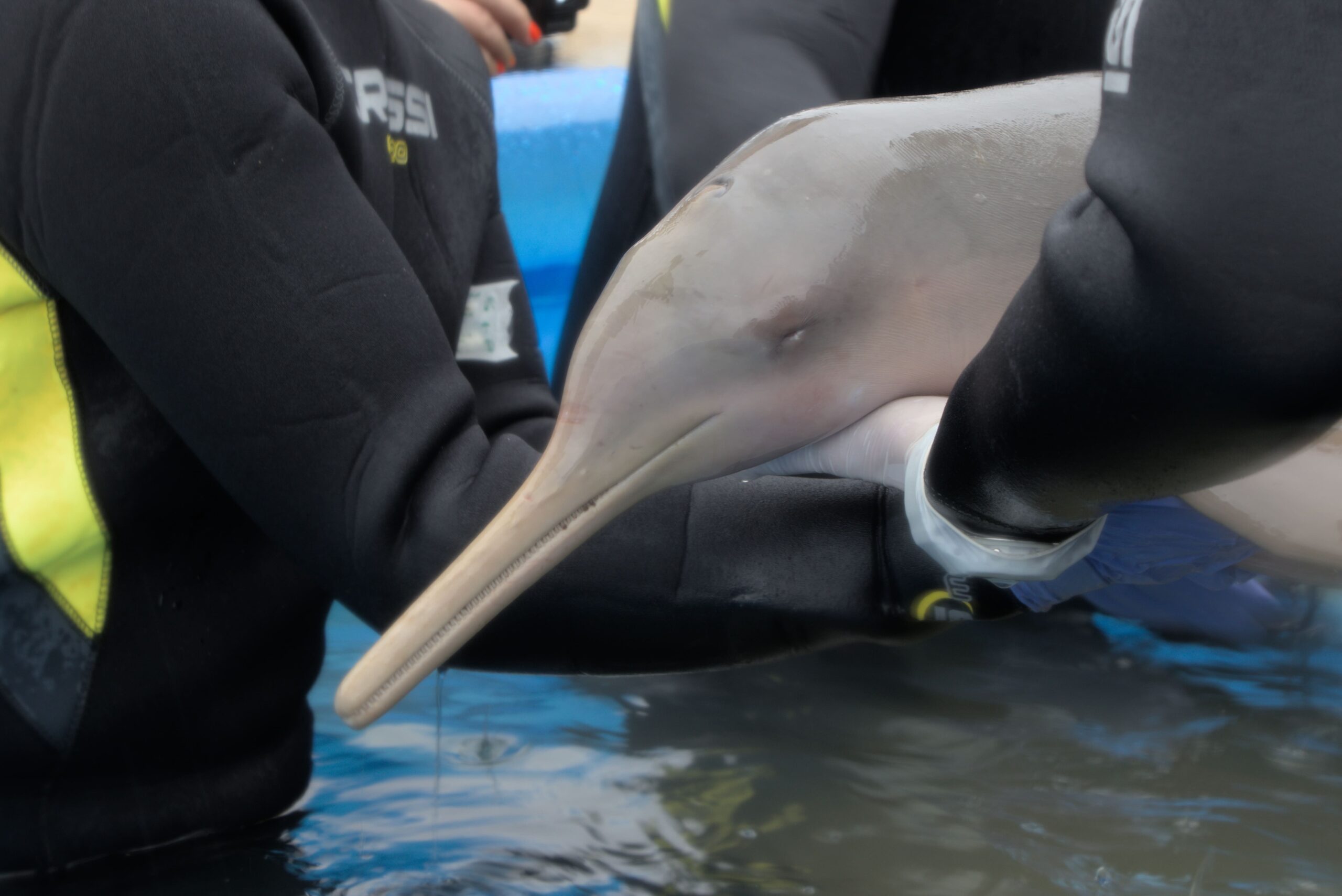 teste imagem text alt pt